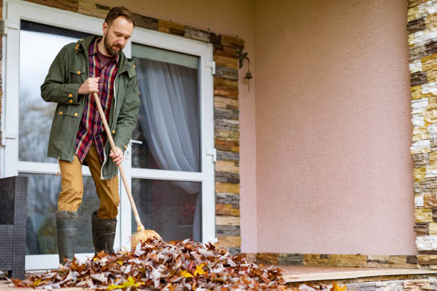 Best Trash Removal Near Me  in Freeport, IL